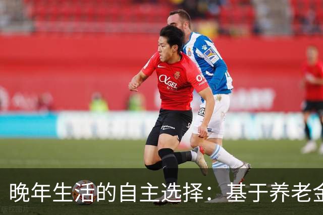 晚年生活的自主选择：基于养老金和存款的理性建议